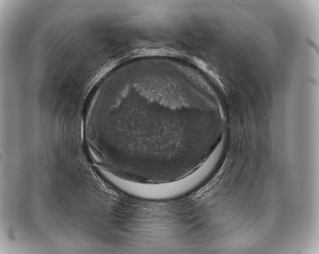 X0000096411221200802141533