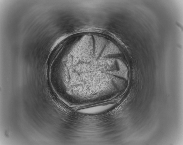 X0000096411222200802141533