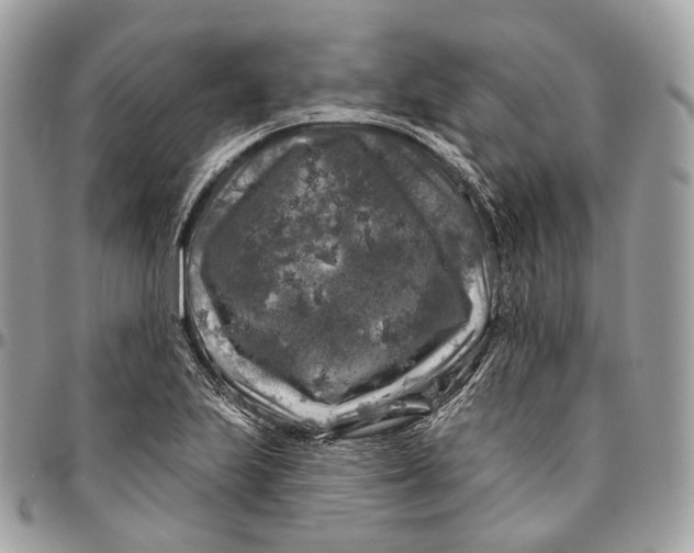 X0000096411223200802141533