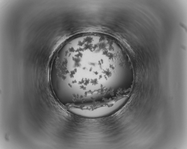 X0000096411224200802141533