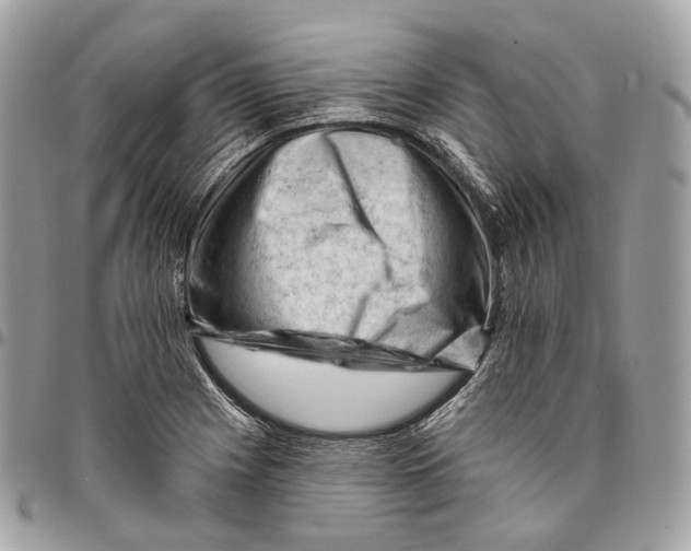 X0000096411225200802141533