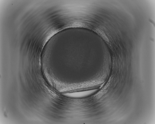 X0000096411226200802141533