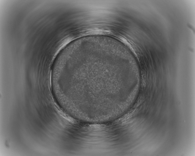 X0000096411227200802141533