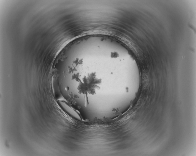 X0000096411228200802141533