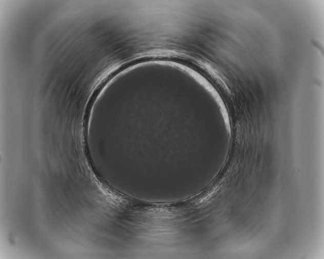 X0000096411229200802141533