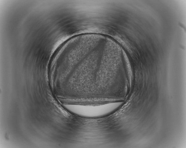 X0000096411230200802141533