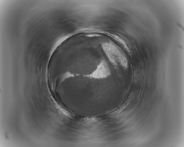 X0000096411231200802141533