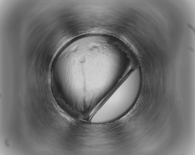 X0000096411232200802141533