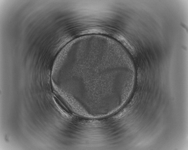 X0000096411233200802141533