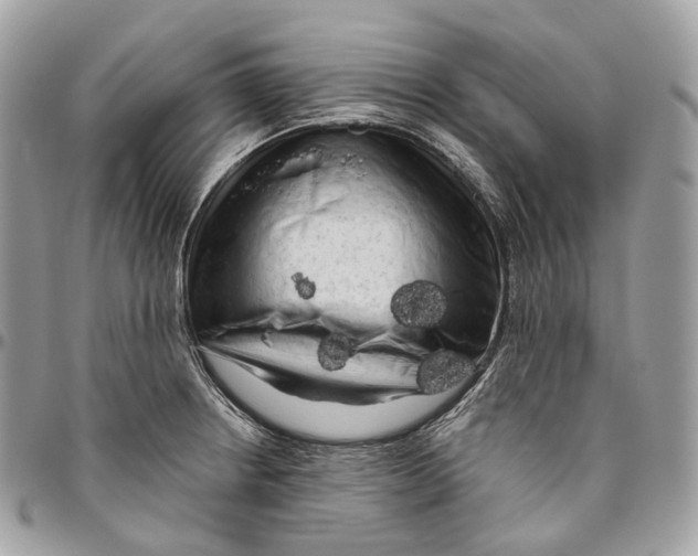 X0000096411234200802141533