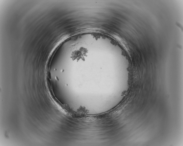 X0000096411235200802141533