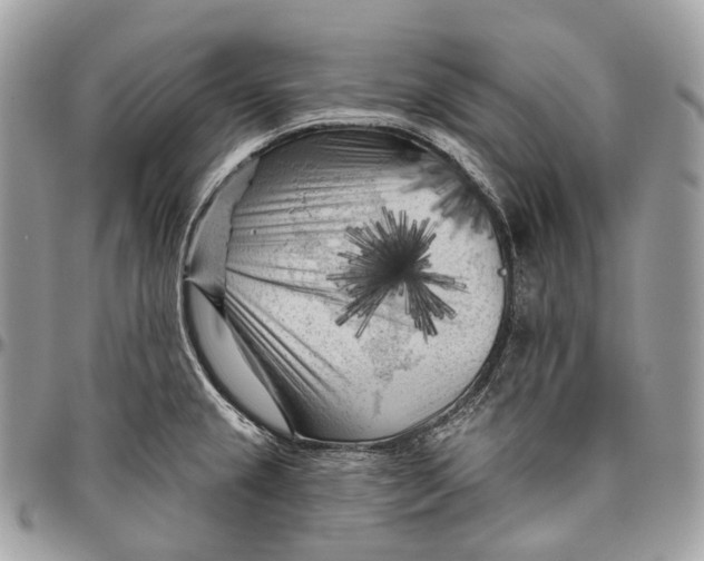 X0000096411237200802141534