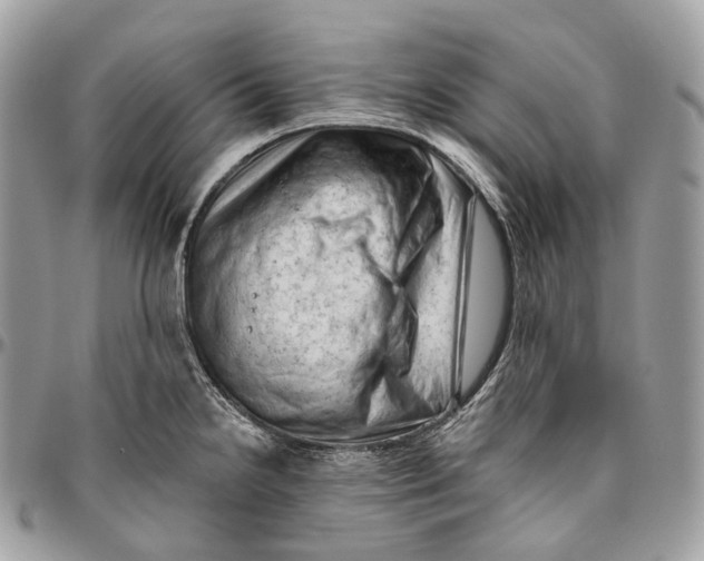 X0000096411238200802141534