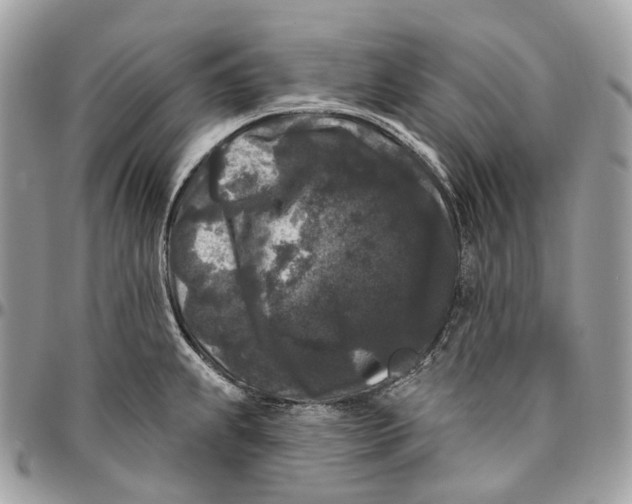 X0000096411239200802141534