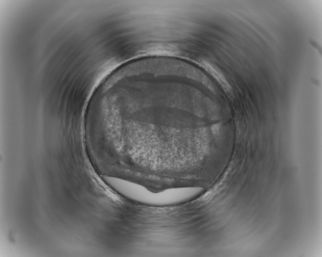 X0000096411240200802141534