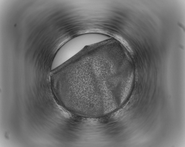 X0000096411241200802141534