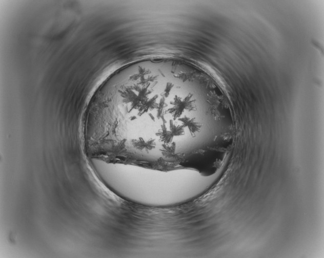 X0000096411243200802141534