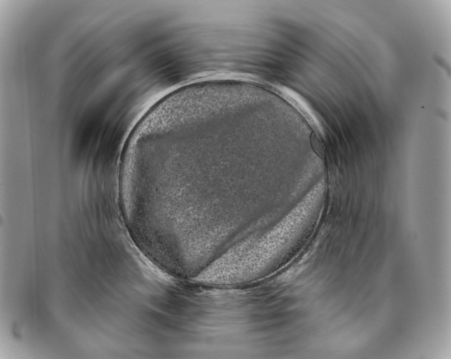 X0000096411244200802141534