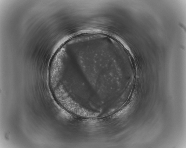 X0000096411245200802141534