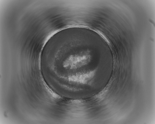 X0000096411246200802141534