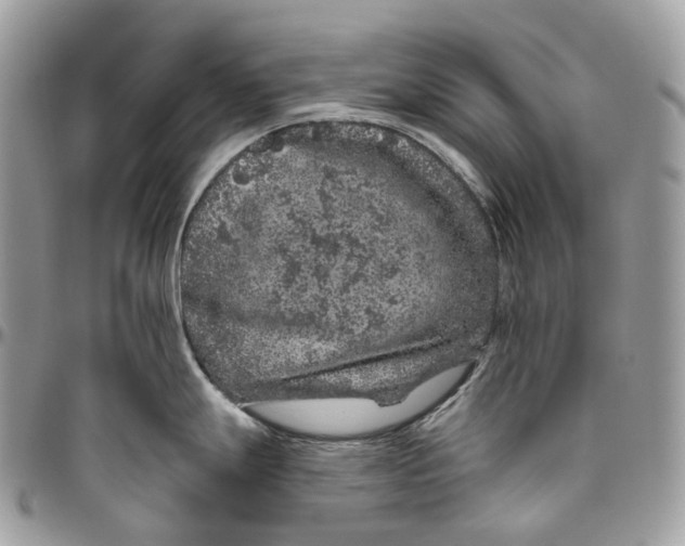 X0000096411247200802141534