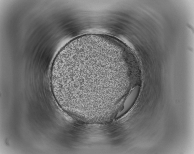 X0000096411248200802141534