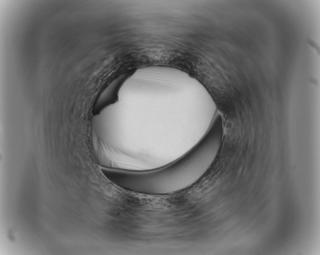 X0000096411249200802141533