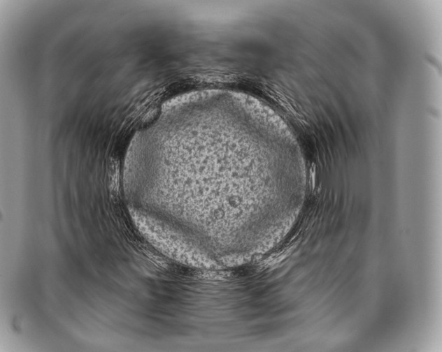 X0000096411251200802141533