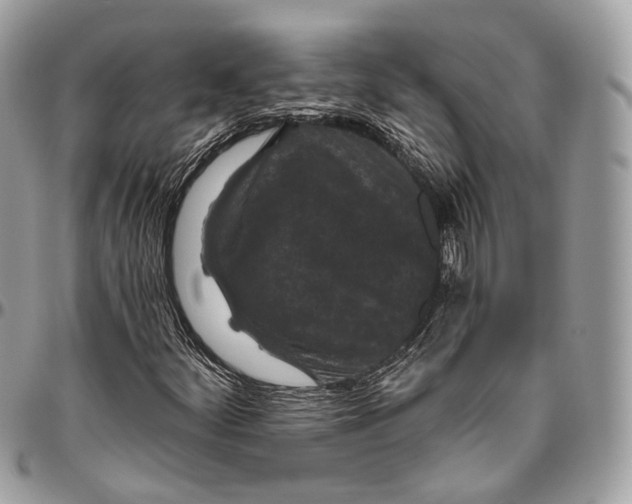 X0000096411252200802141533