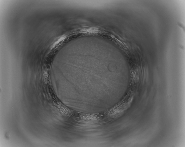 X0000096411254200802141533