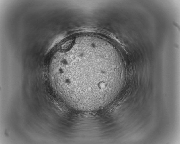 X0000096411255200802141533