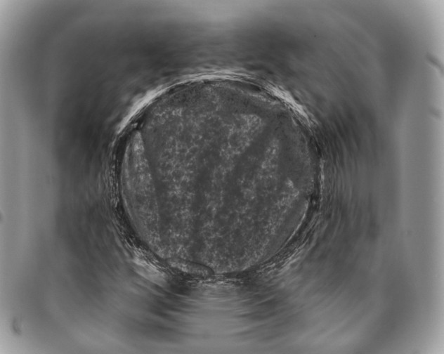 X0000096411256200802141533