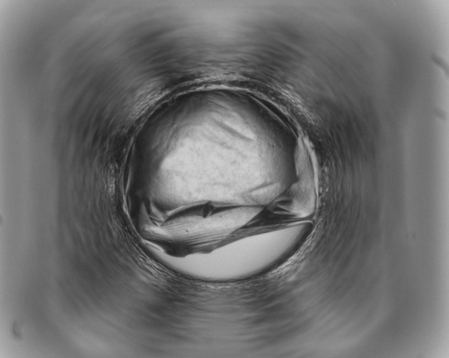 X0000096411257200802141533