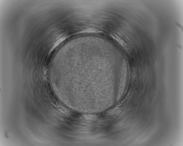 X0000096411258200802141533