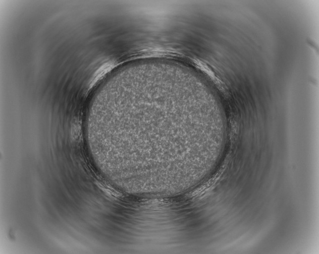 X0000096411259200802141533