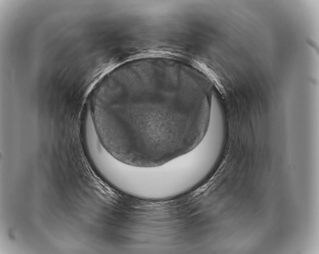 X0000096411260200802141533