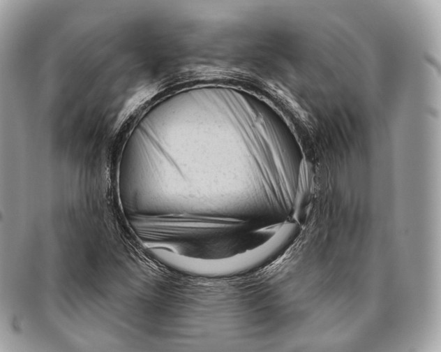 X0000096411261200802141533