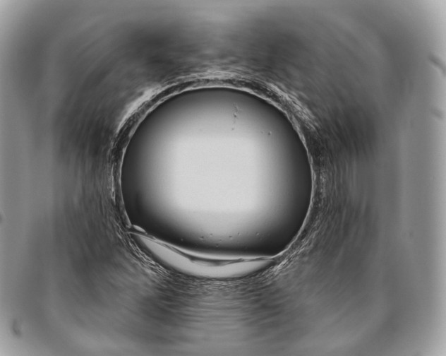 X0000096411262200802141533