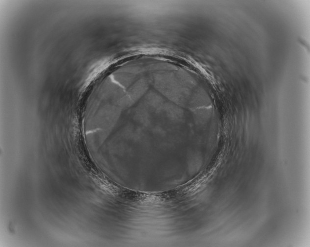 X0000096411263200802141533