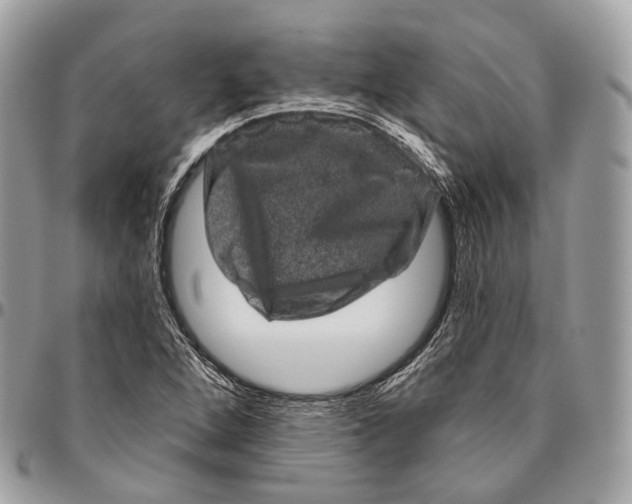 X0000096411264200802141533