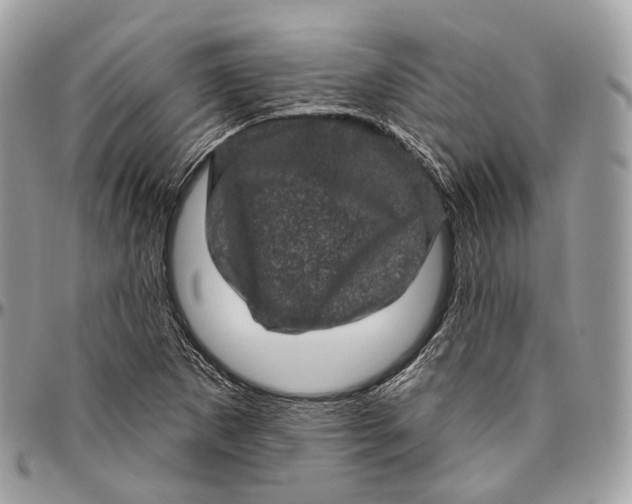 X0000096411265200802141533