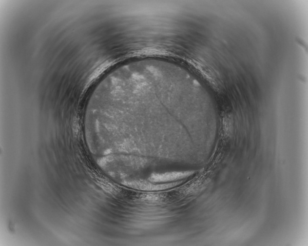 X0000096411266200802141533