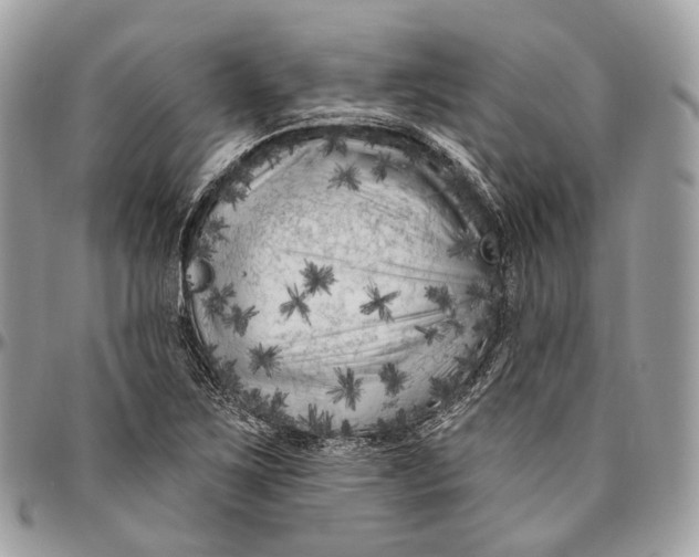 X0000096411267200802141533