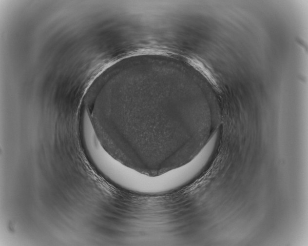 X0000096411268200802141533