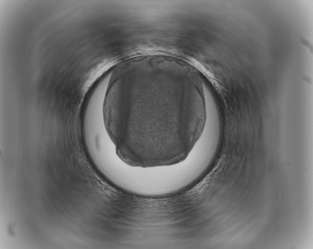 X0000096411269200802141533