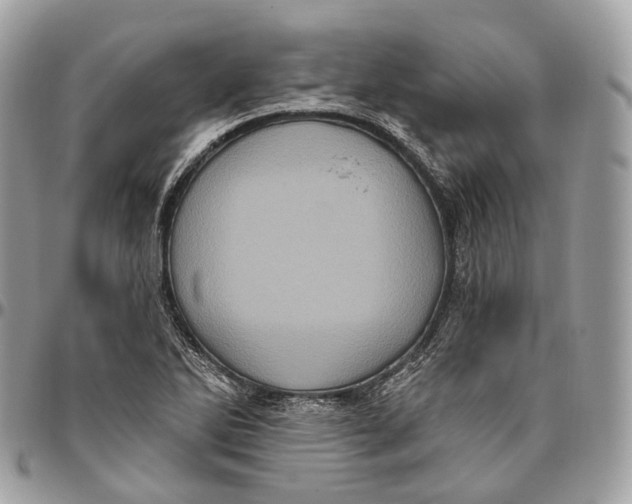 X0000096411270200802141533