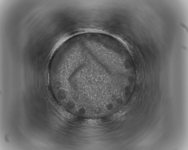 X0000096411271200802141533