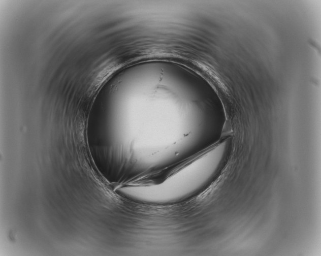 X0000096411273200802141533