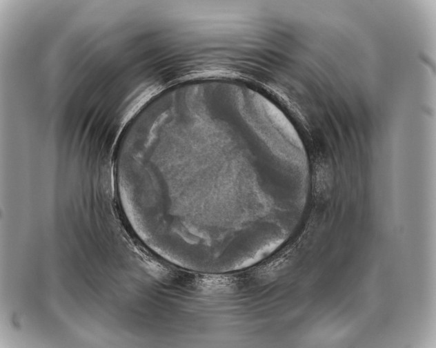 X0000096411274200802141533