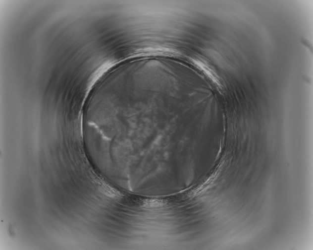 X0000096411275200802141533